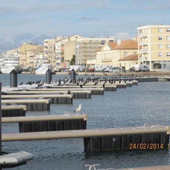 Port Sud de France – Sète: Rompeolas flotante y pantalán de recepción de vedettes