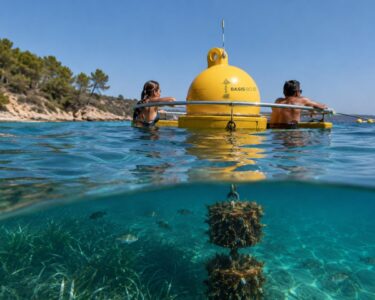 Recreación de la boya BasisBoje con bañistas descansando en el aro de agarre y cadena biocolonizada bajo el agua